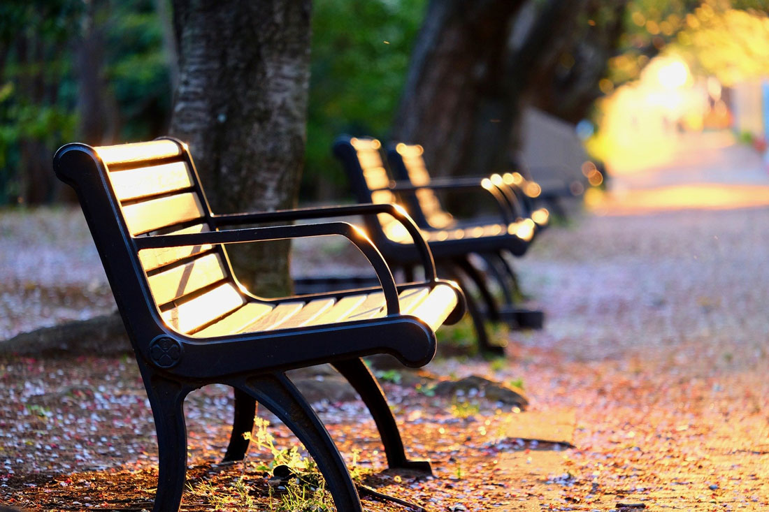 Zwei leere Sitzbänke in einem Park