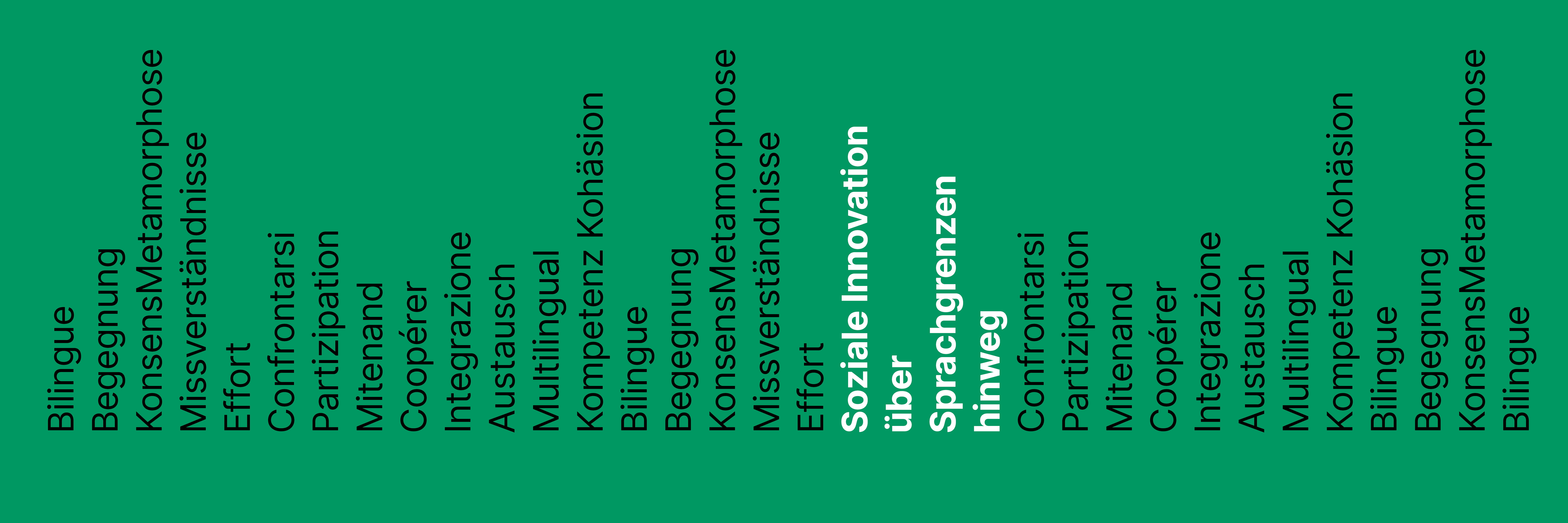 Soziale Innovation über Sprachgrenzen hinweg