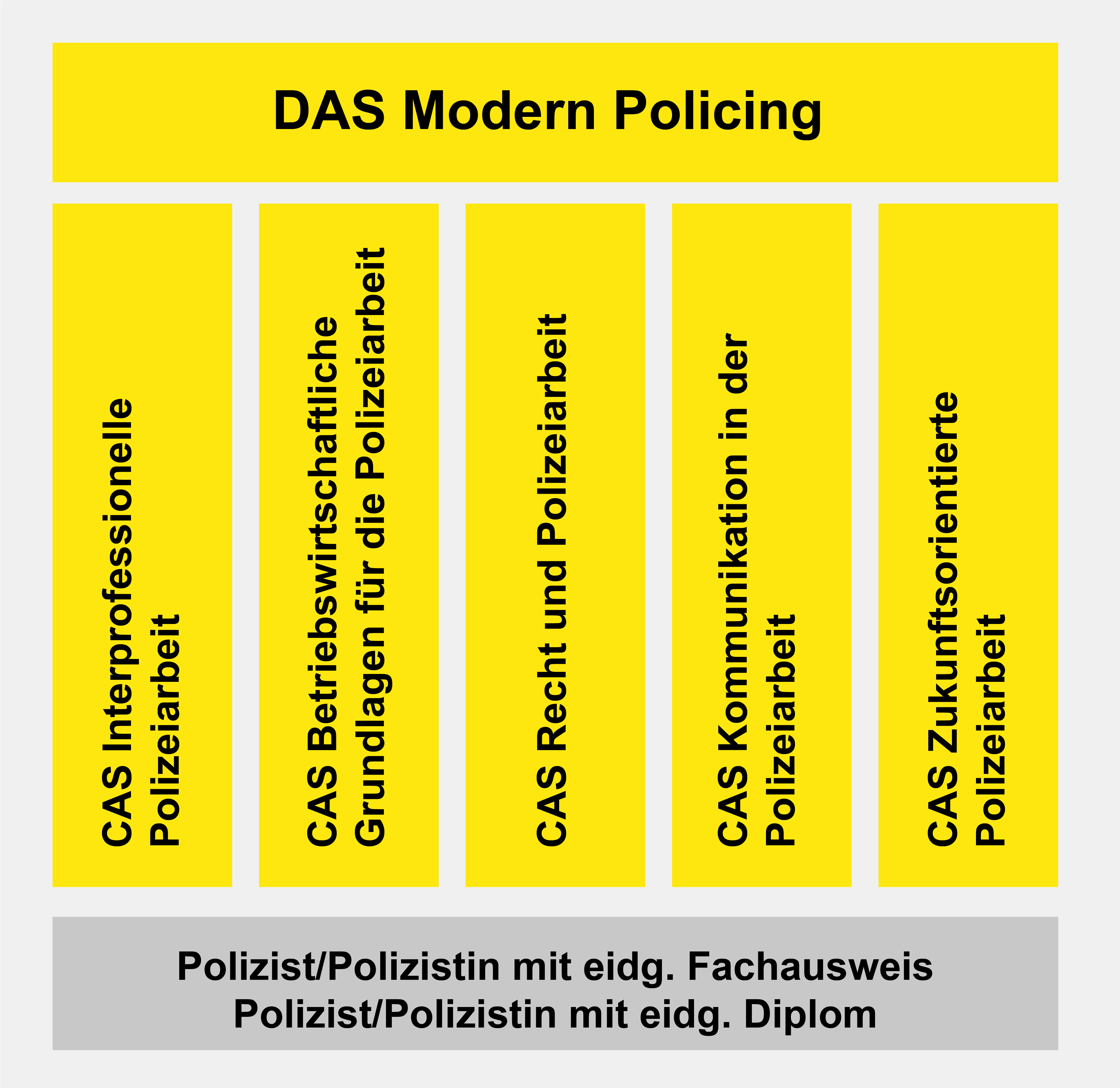 DAS Modern Policing