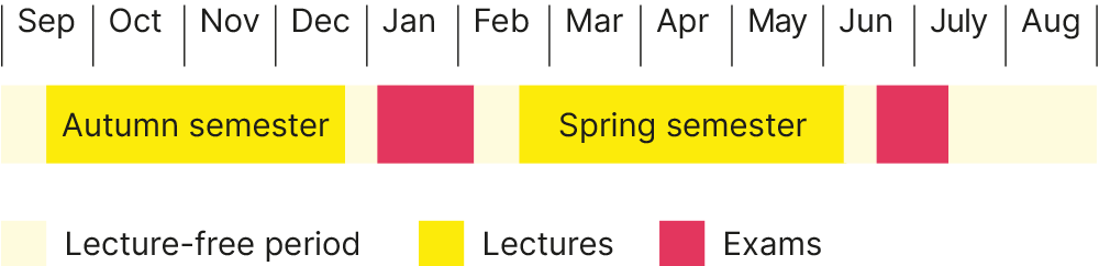 Study structure