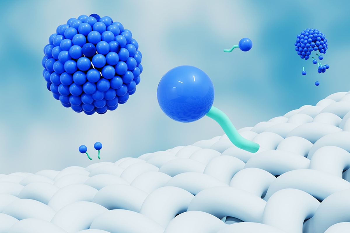 Tenside mit einem hydrophilen Kopf und einem hydrophoben Schwanz werden in Biologika-Formulierungen verwendet, um eine Aggregation zu verhindern.